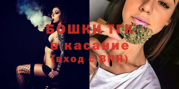 первитин Новодвинск