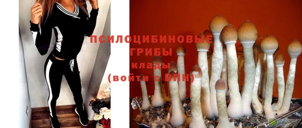 ALPHA PVP Дмитриев