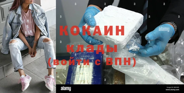меф Няндома