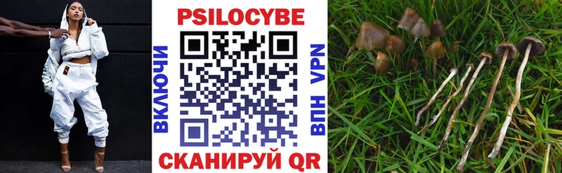 Псилоцибиновые грибы Cubensis  где купить наркотик  Лихославль 