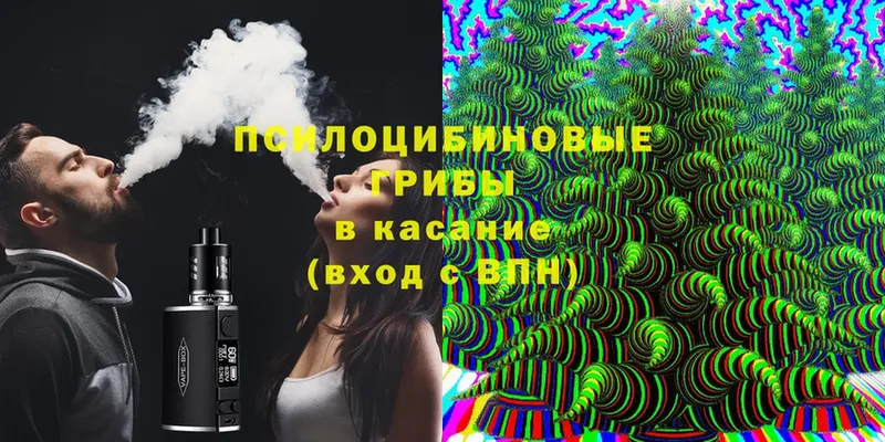 Галлюциногенные грибы Magic Shrooms  Лихославль 